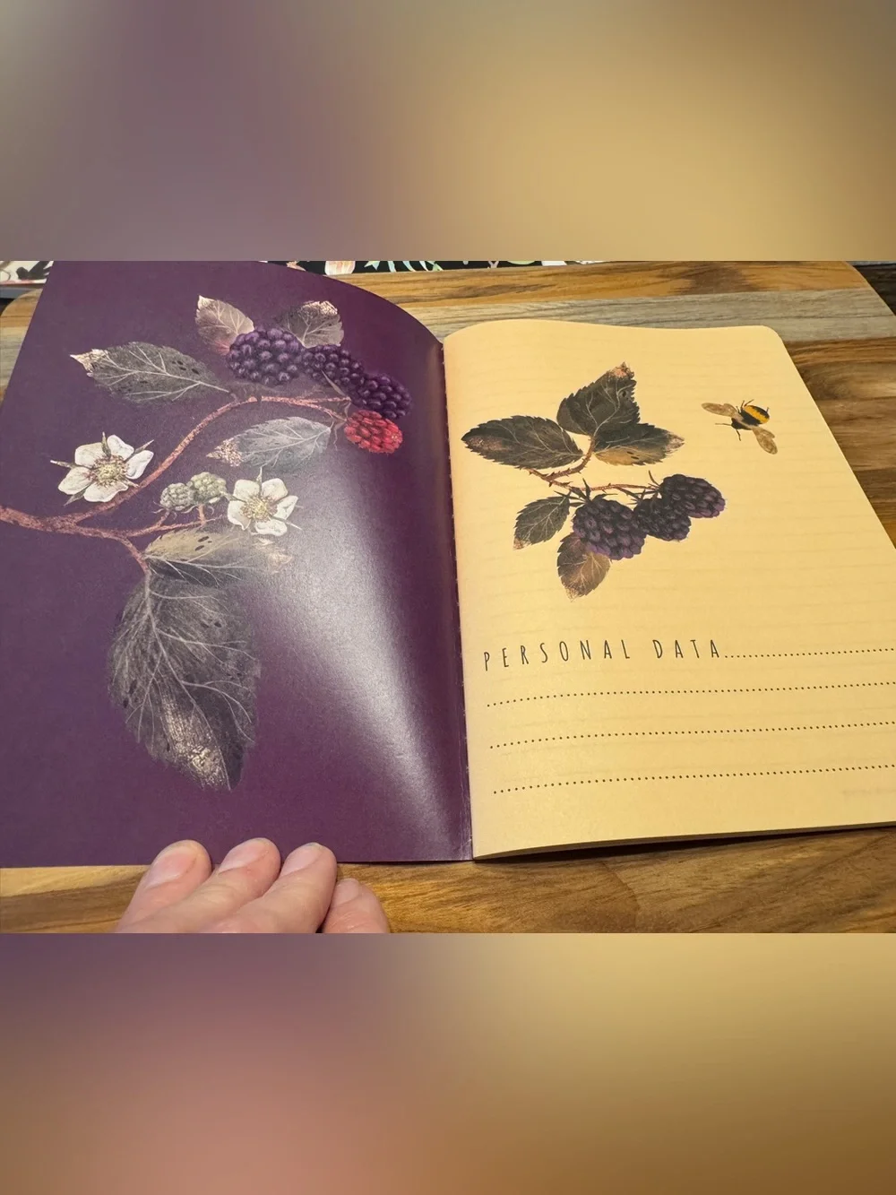 2 Pack Gorgeous Soft Touch Journals - BV by Bruno Visconti - Amazing Unique Gift